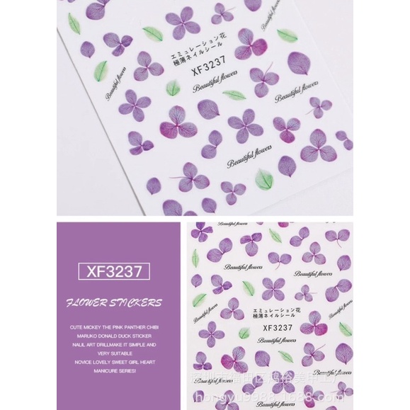 Sticker hoa khô các loại