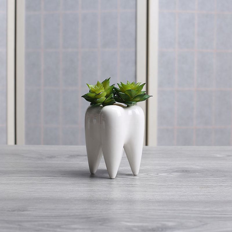 Chậu cây trồng hình răng sứ trắng hiện đại