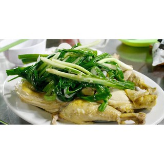 2GR - HẠT GIỐNG HÀNH LÁ