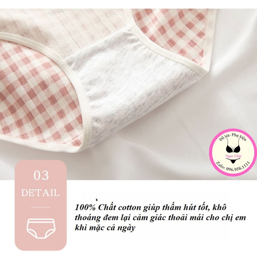 Quần lót nữ cotton co dãn 4 chiều hoạ tiết dâu tây dễ thương giá rẻ NĐ08