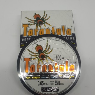 CƯỚC CÂU CÁ CƯỚC NHÊN  TARANTULA