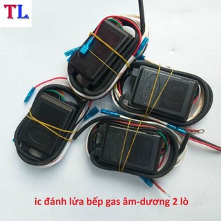 IC điện đánh lửa bếp gas âm dương 2 lò (IC 2 dây)
