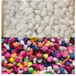 SỎI TRẮNG-SỎI MÀU TRANG TRÍ