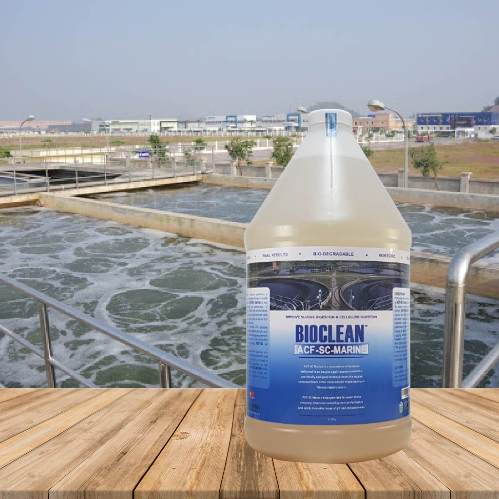 Hàng Mỹ - Vi Sinh Xử Lý Nước Thải Có Độ Mặn Cao Bioclean ACF-SC Marine - Chai Gallon= 3,785L