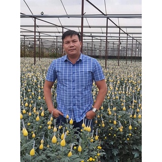 Đạm cá cô đặc DHgold