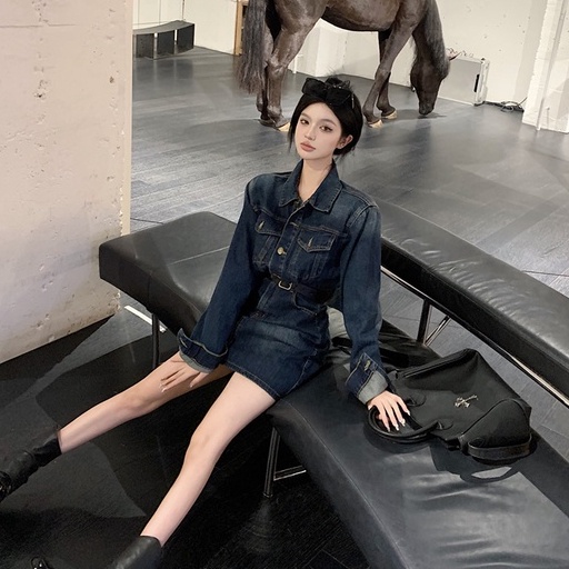 Đầm Denim Tay Dài Ôm Eo Cài Một Hàng Khuy Thời Trang Mùa Thu Phong Cách Hàn Quốc Cho Nữ