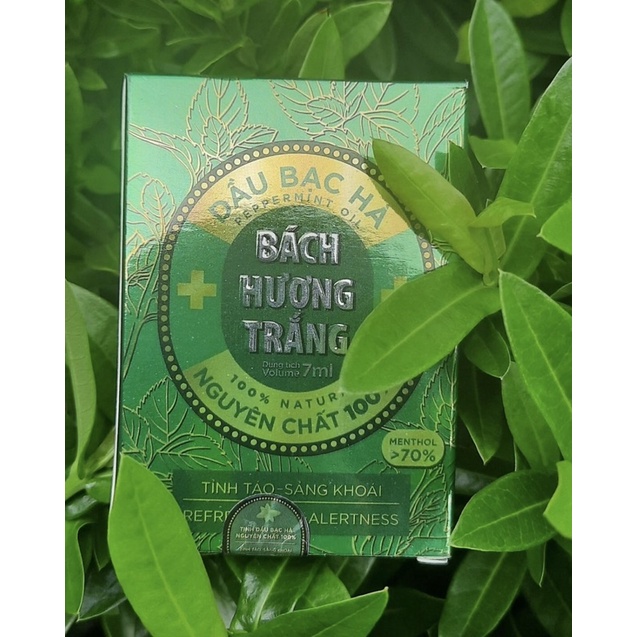 Dầu BÁCH HƯƠNG TRẮNG