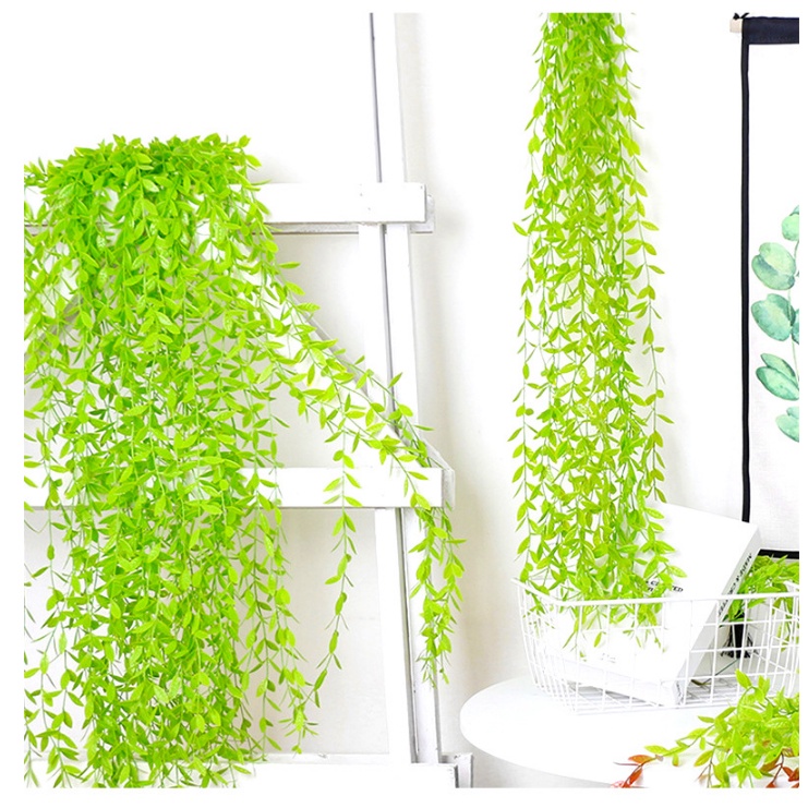 Cành dây leo lá giả - Lá cúc tần ấn độ dài 105cm trang trí