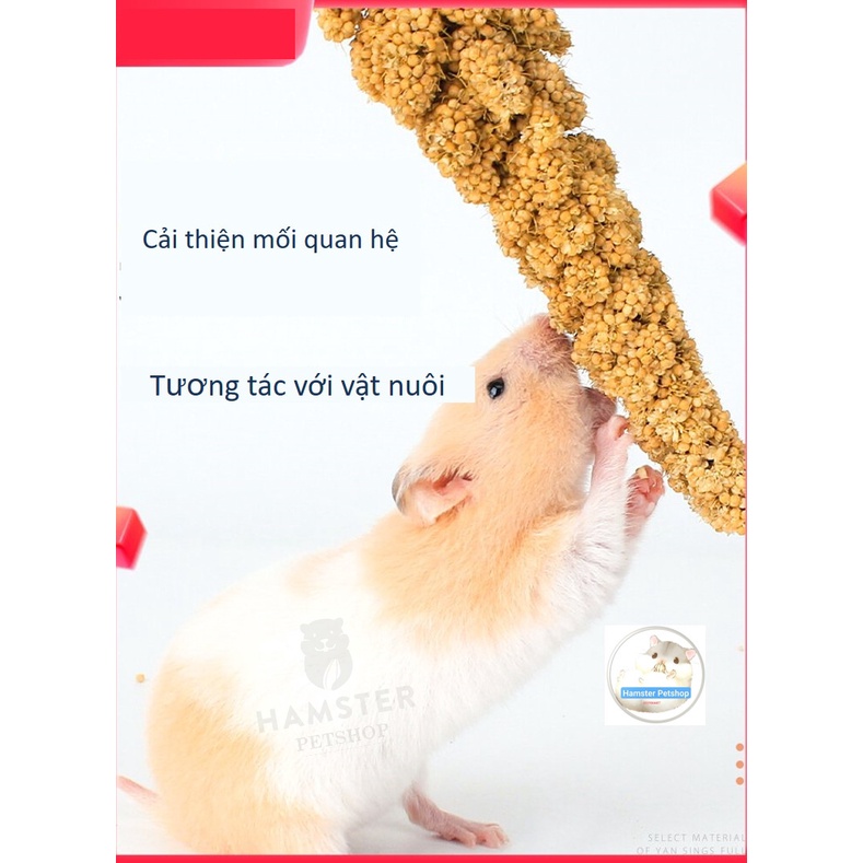 Kê chùm cho hamster, thỏ , bọ , sóc , chim