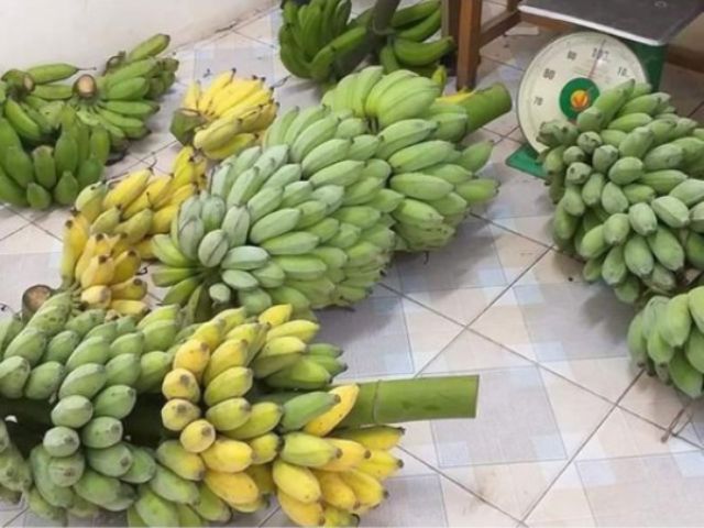 Chuối Xiêm ép dẻo đặc sản Bến Tre-500g