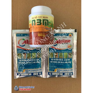 Bộ sản phẩm trừ bệnh thối rể và kích rể cực mạnh - 2 gói Alpine 30gr và n3m 100gr - 2 alpine 30gr và n3m 100gr