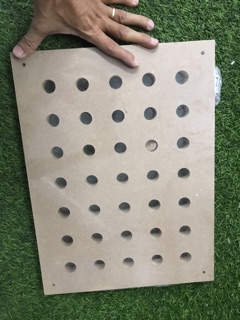 Cặp gỗ ép tiêu bản thực vật