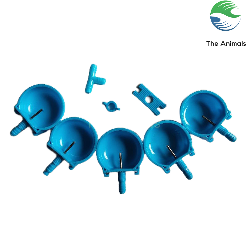 Combo 5 Máng uống tự động cho thỏ