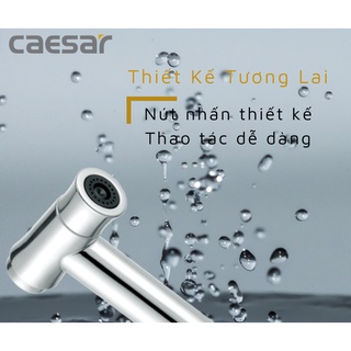 Vòi Xịt Xi (dây inox) - BS310CW CAESAR