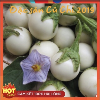 Hạt giống cà pháo rado 72