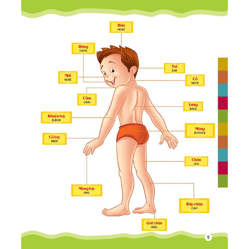 Sách - Từ Điển Tranh Bằng Hình Của Tôi: Em Thích Miêu Tả - Dành Cho Trẻ Từ 4 -6 Tuổi (Bìa cứng)