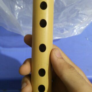 Sáo mèo nam chất lượng cao