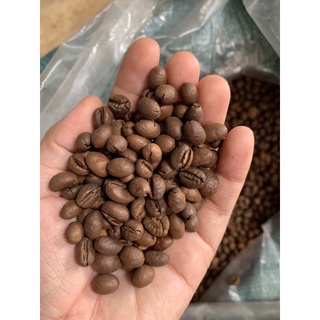 cà phê culi robusta 500g