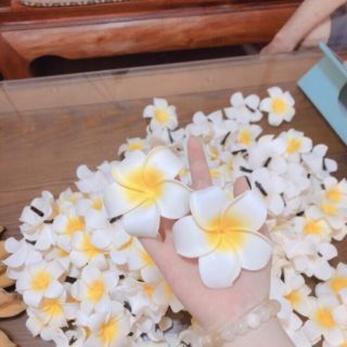 Kẹp tóc hoa sứ đi biển