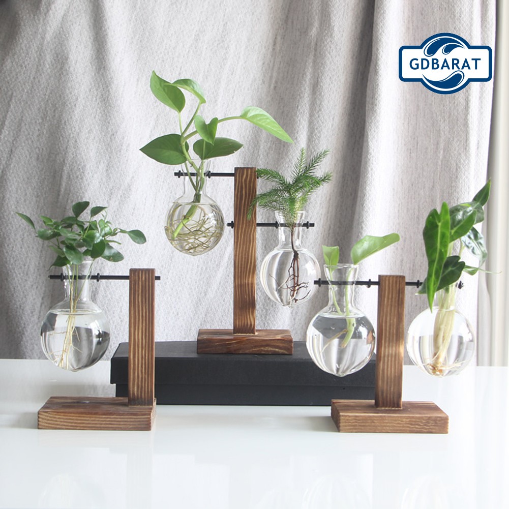 Chậu Hoa Bằng Thủy Tinh Trong Suốt Kèm Khung Gỗ Độc Đáo Tiện Dụng