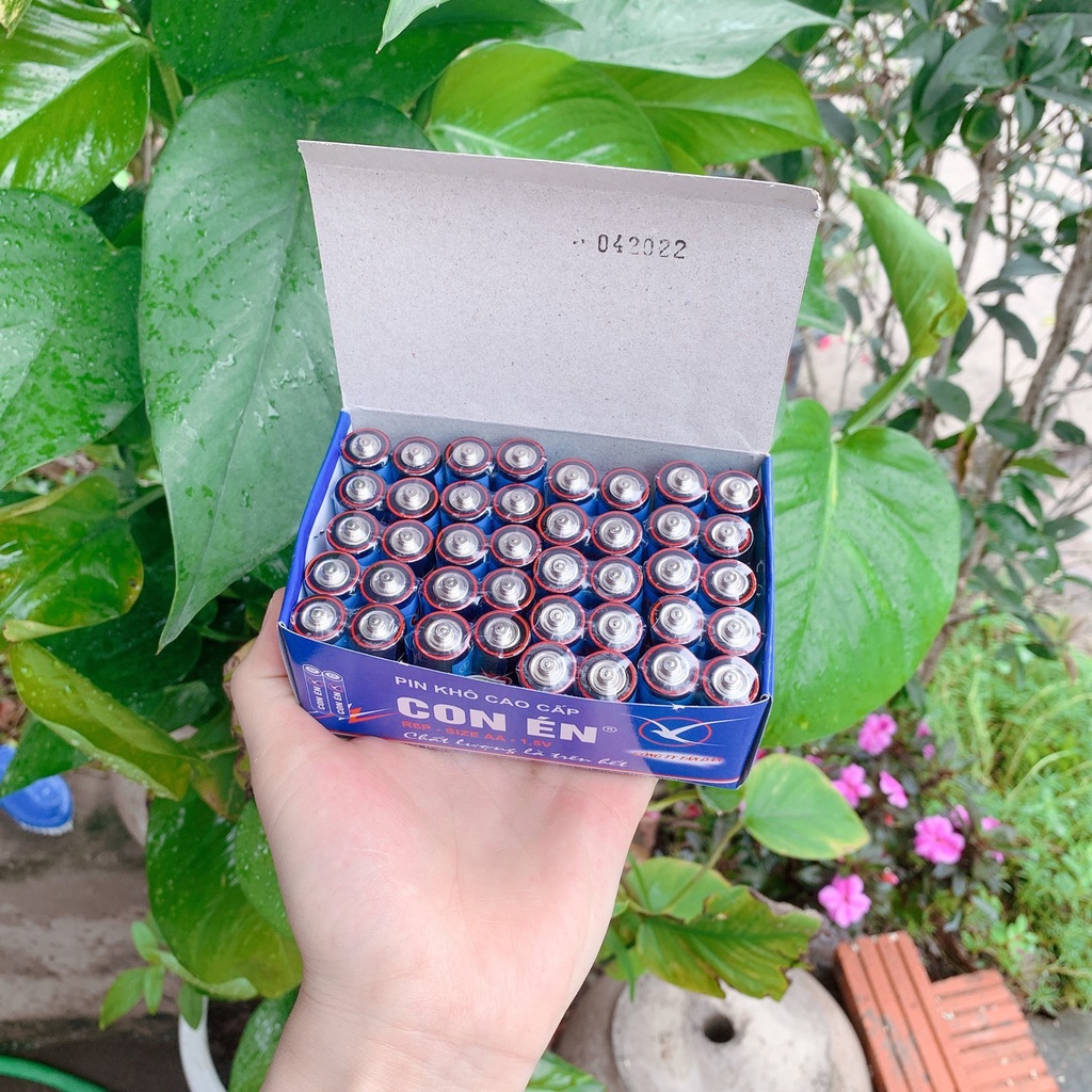 Hộp 40 quả pin tiểu AA khô cao cấp Con én