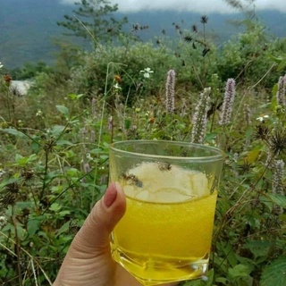 MẬT ONG HOA BẠC HÀ CHẤT LƯỢNG 🐝🐝