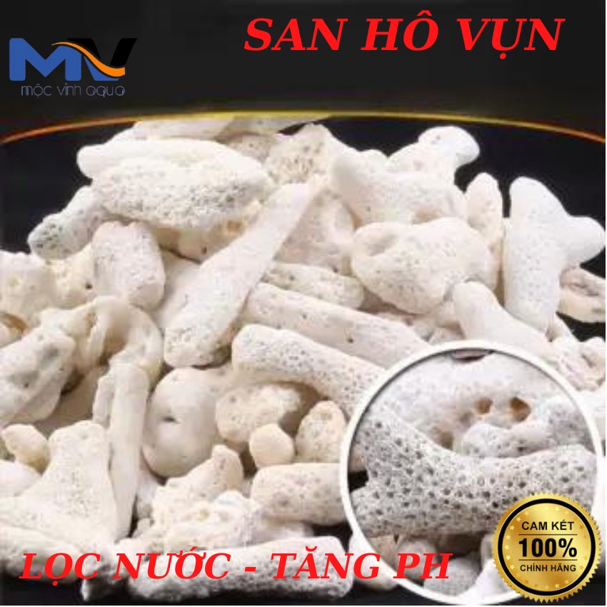 San hô vụn lọc nước 1kg tăng độ PH cho bể cá