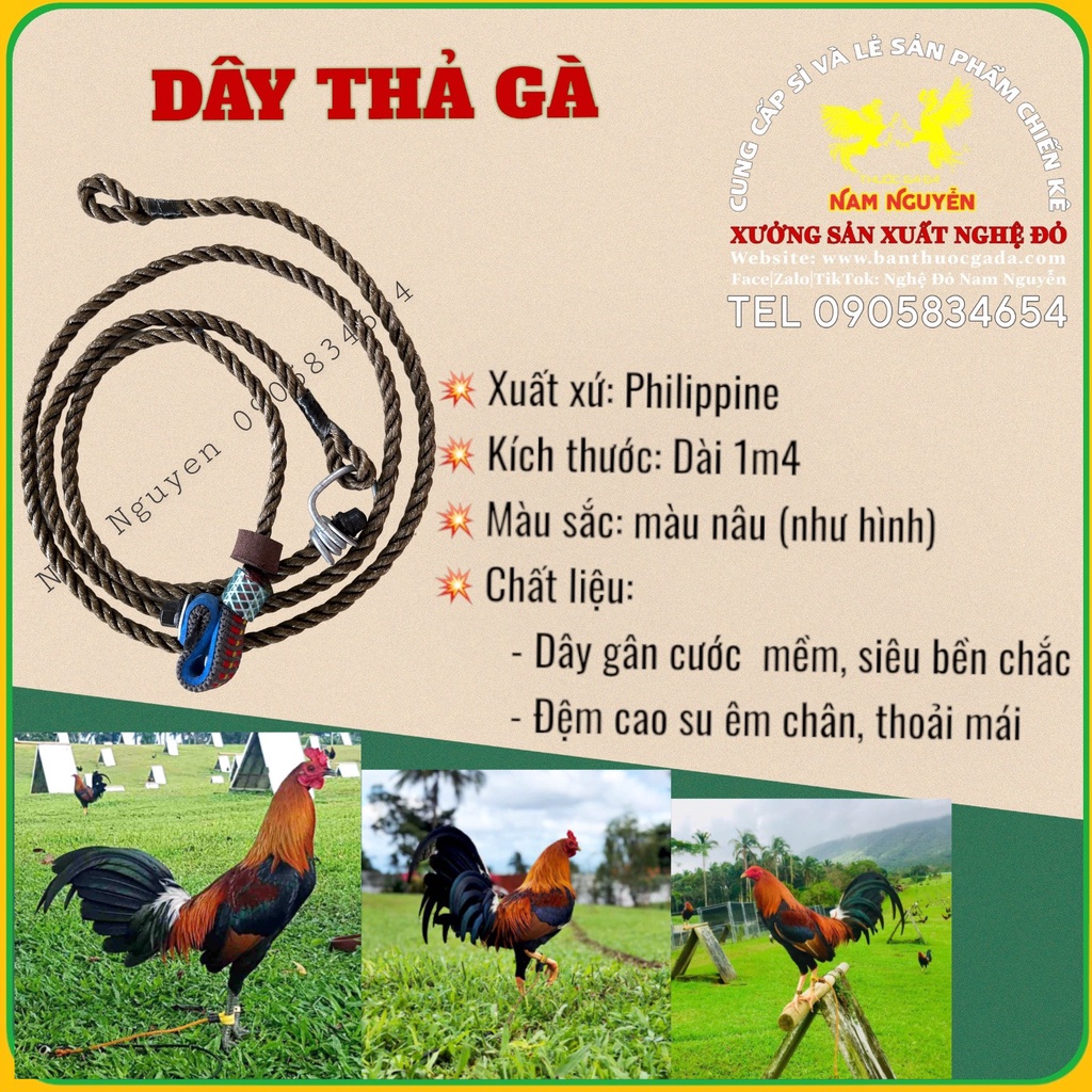 Dây thả gà ăn cỏ, thư giản, dài 1.8m của Philipine, Êm chân, Siêu bền chắc