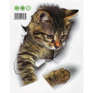 Hình dán 3D y như thật - Hình mèo. Dán xe hơi, ốp xe máy (STIC-1)