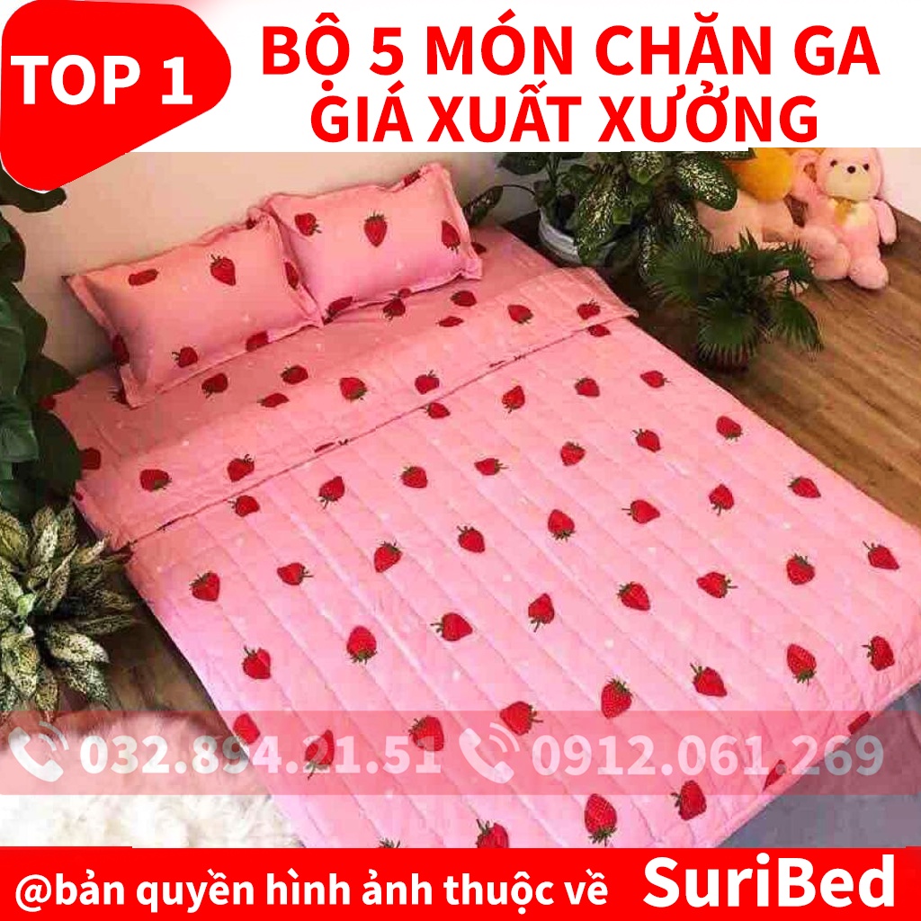 chăn ga💖FREESHIP💖bộ chăn ga 5 món họa tiết dâu tây cute CHANGA01 set bao gồm 1 chăn 1 ga 2 gối 1 gối ôm