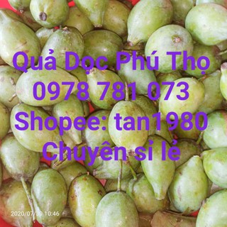 Quả dọc Phú Thọ