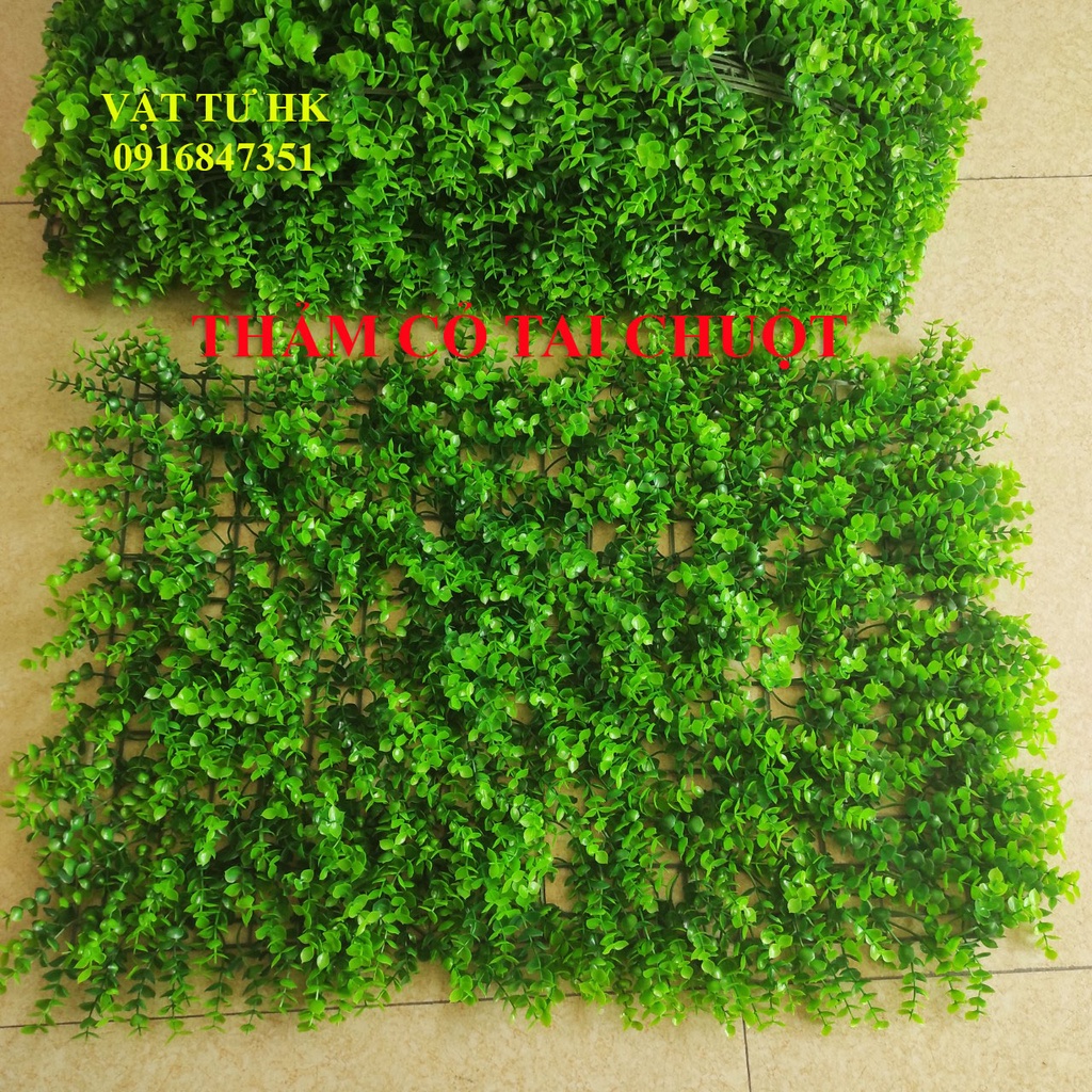 (Siêu rẻ) Thảm cỏ nhân tạo treo trang trí tường - cải xoong - Cỏ Tai chuột - có hoa (chọn đúng loại khi đặt hàng)