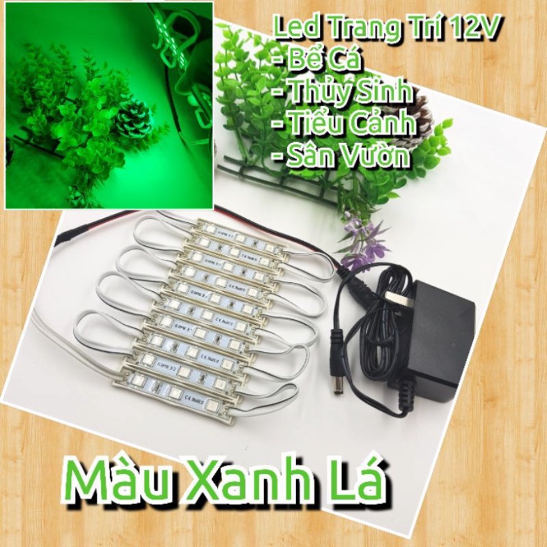 Đèn LED COB 12V Chiếu Sáng Bể Cá Máy Tính Hồ Thủy Sinh, Đèn Trang Trí Tiểu Cảnh