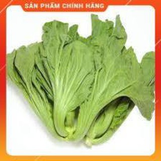 HẠT GIỐNG CẢI BẸ DƯA CAO SẢN