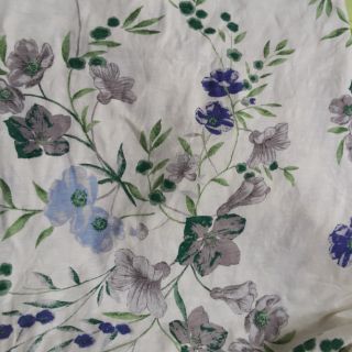 Cotton của dung
