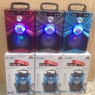 LOA KARAOKE BLUTOOTH P91/93 ( TẶNG KÈM MICRO DÂY )