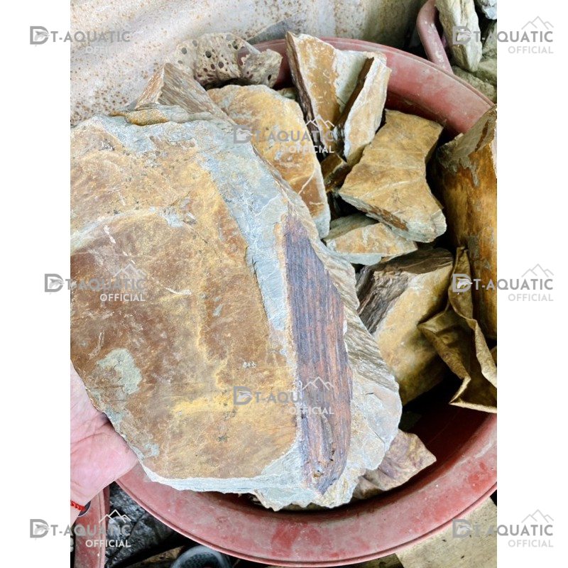 Đá Trầm Tích Vàng (1KG) Setup Bể Thuỷ Sinh,Tiểu Cảnh Bán Cạn, Trang Trí Bể Cá Cảnh