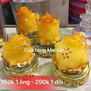 ĐÔI TỲ CÓC vàng mật