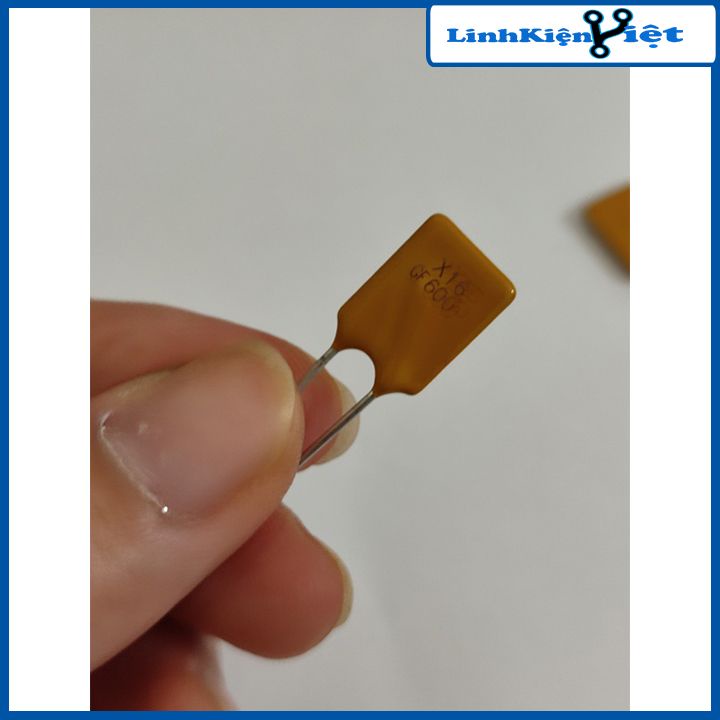 Cầu chì tự phục hồi RGEF600 16V 6A