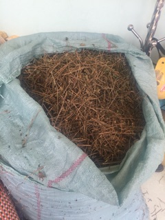 500g cà gai leo tự nhiên