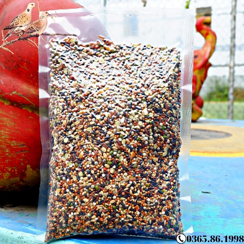 Ngũ Cốc Trộn 20 Loại Hạt Cho Chim Cu Gáy