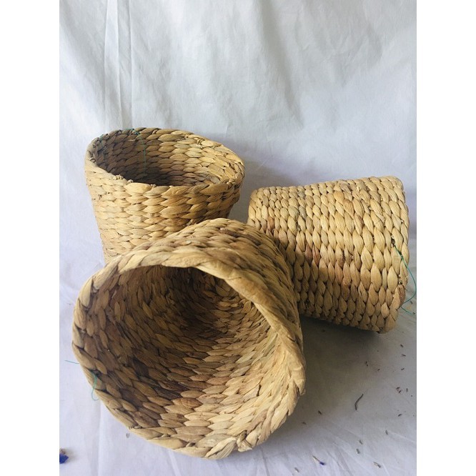 Cốc Lục Bình Làm Chậu Trồng Cây Decor, Phong Cách Vintage ,có ảnh thật