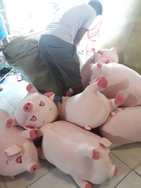 Gấu Bông Heo Bông NGỦ SIÊU TO KHỔNG LỒ