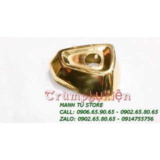 CHỤP ĐUÔI PÔ WINNER X