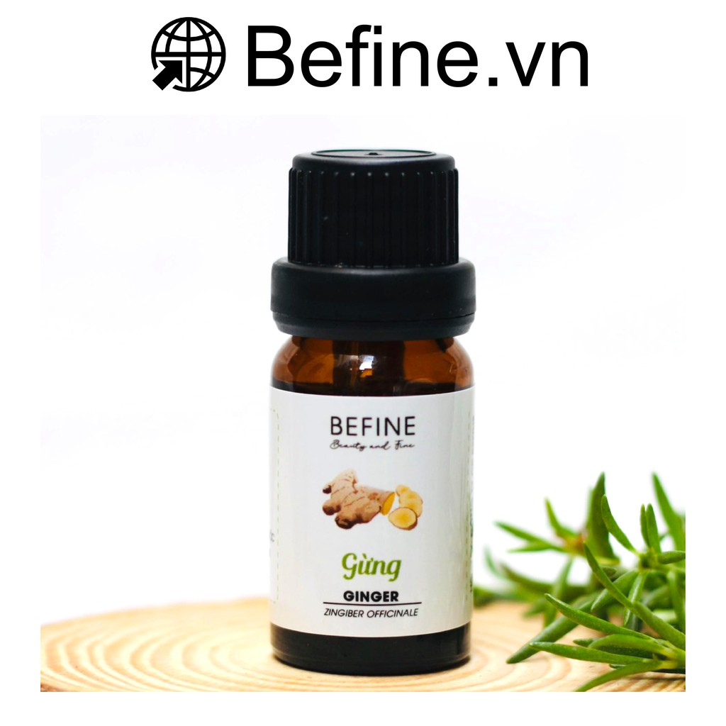 Tinh dầu gừng Befine [5ml; 10ml] nguyên chất làm ấm cơ thể, giảm say xe