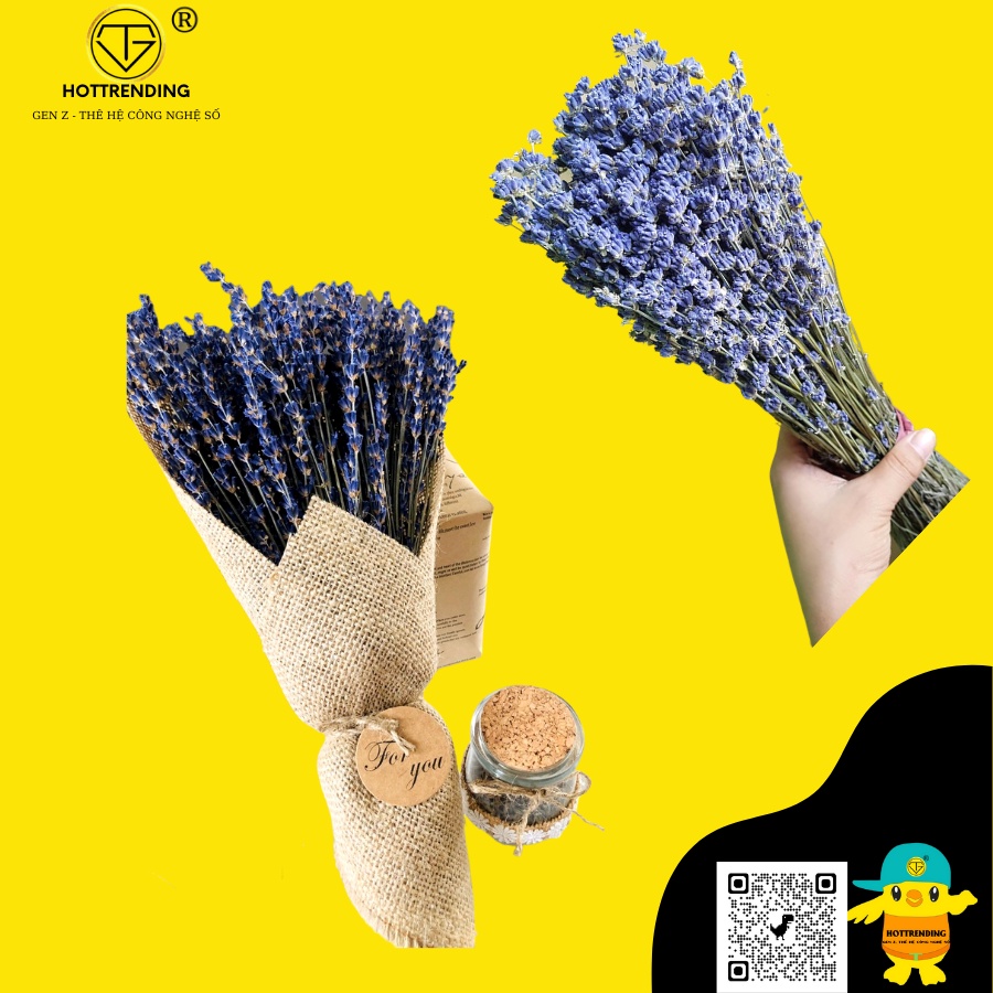 Bó hoa lavender - hoa oải hương khô