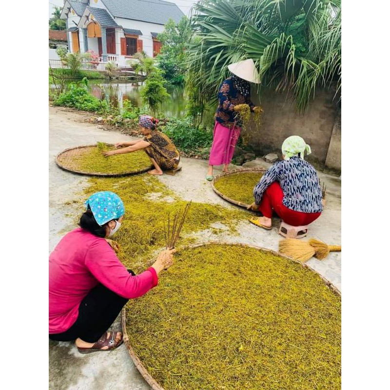 [CHÍNH GỐC] Thuốc Lào Tiên Lãng Hải Phòng