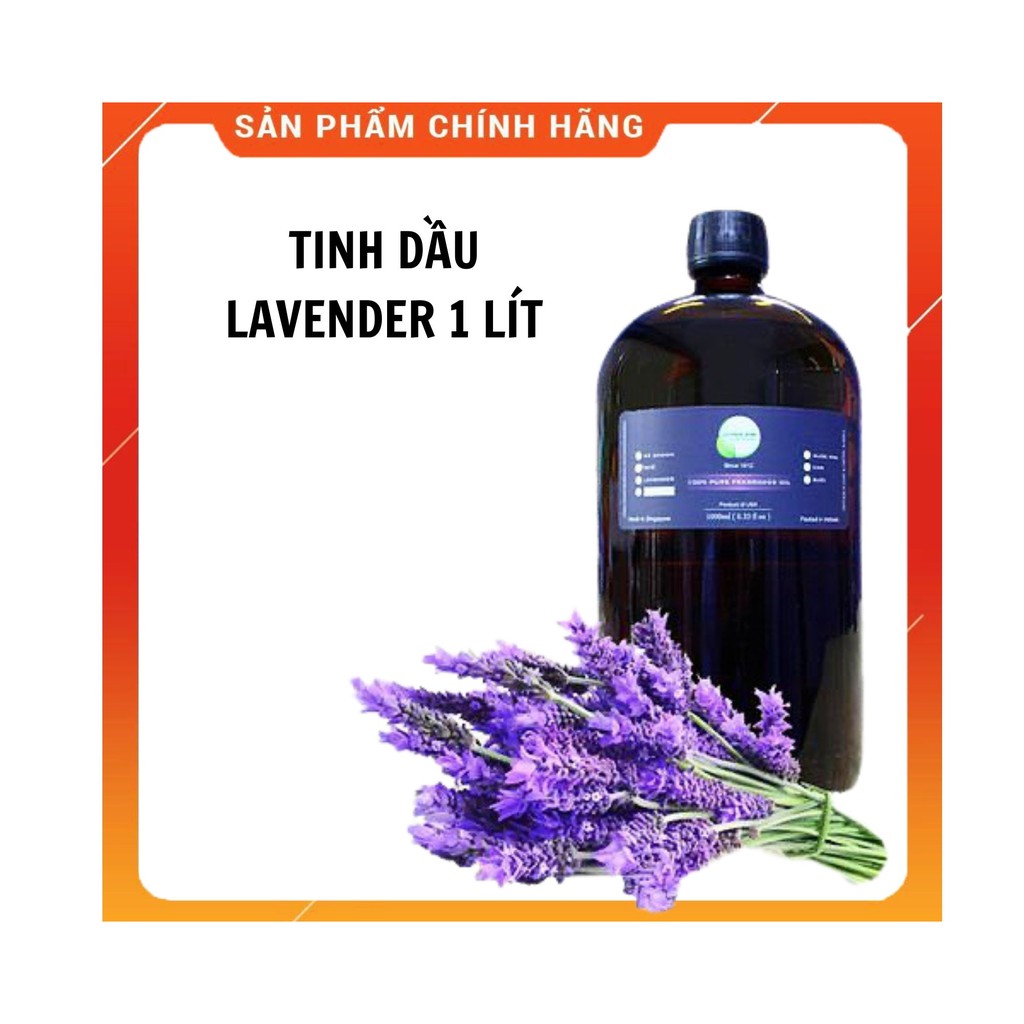 Tinh dầu lavender caroline 500ml đến 1000ml