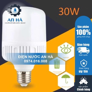 Bóng đèn led 30w
