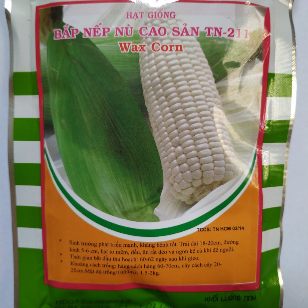 Hạt giống BẮP NẾP NÙ CAO SẢN ( Wax Corn )